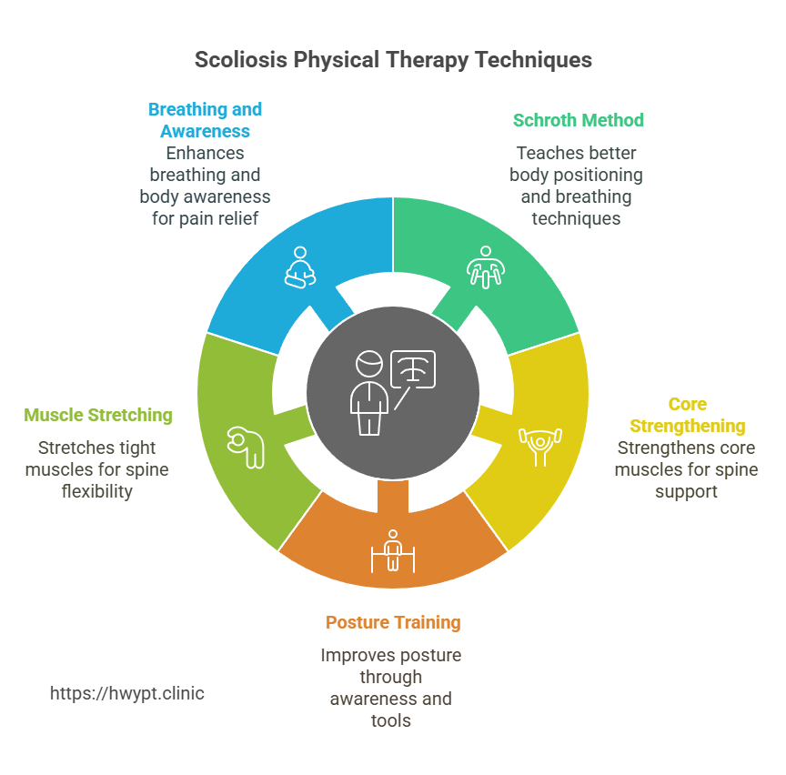Physical Therapy for Scoliosis - visual selection (1)